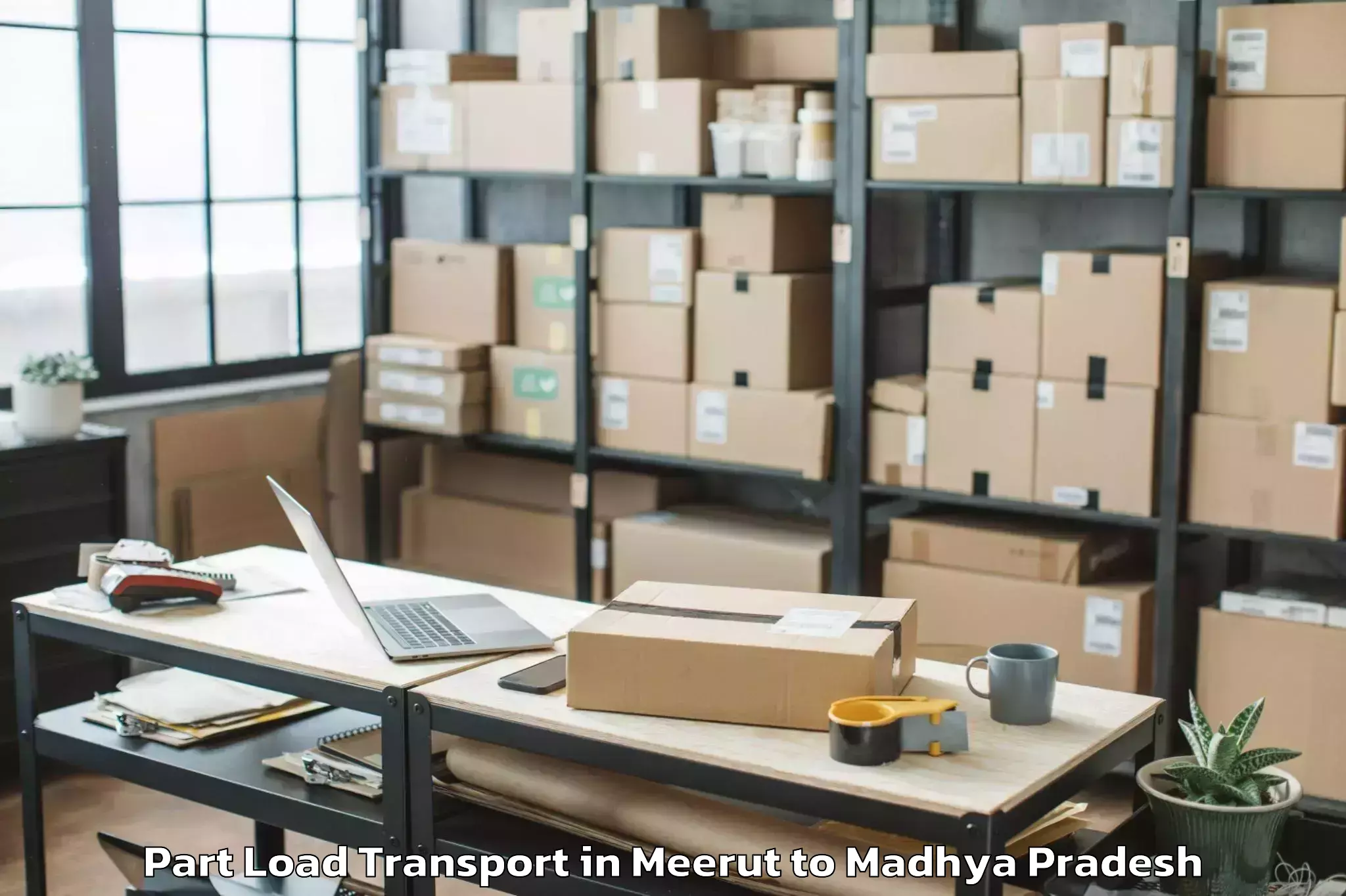 Leading Meerut to Mandsaur Part Load Transport Provider